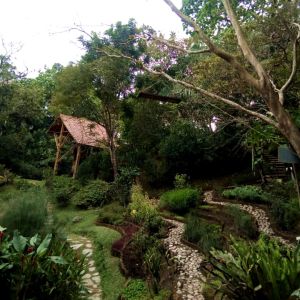 Jardín Botánico San Jorge - Ibagué -  Ex Situ